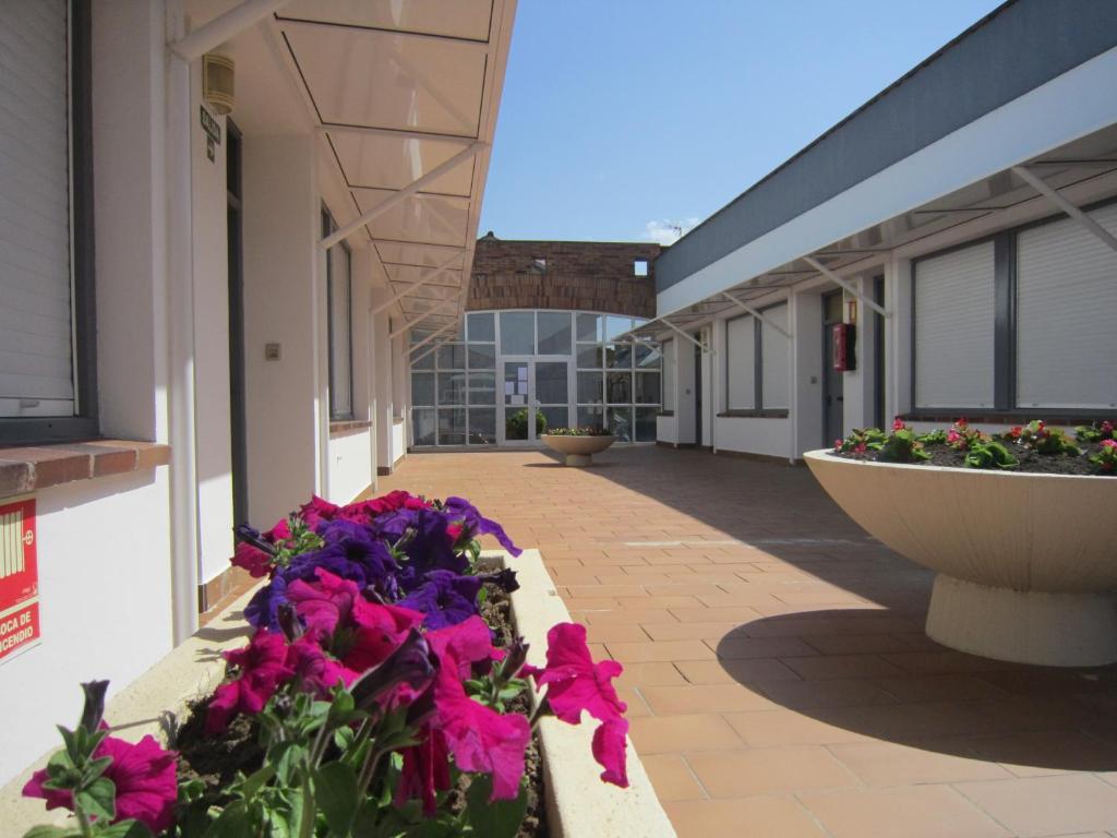 Apartamentos Elena Λαρέντο Εξωτερικό φωτογραφία